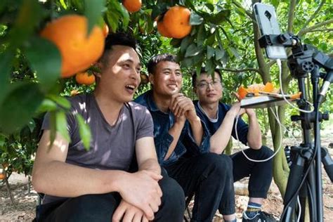 山东青岛：草莓大棚 直播带货-人民图片网