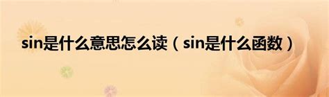 sin是什么意思怎么读（sin是什么函数）_公会界