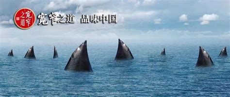 “网红吃大白鲨”后续：被罚12.5万元，2人被逮捕_澎湃号·湃客_澎湃新闻-The Paper