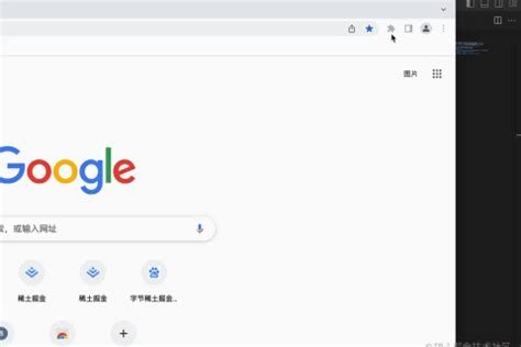 谷歌浏览器插件Web Developer将各种web开发工具按钮添加到浏览器-（Chrome插件）谷歌浏览器插件网