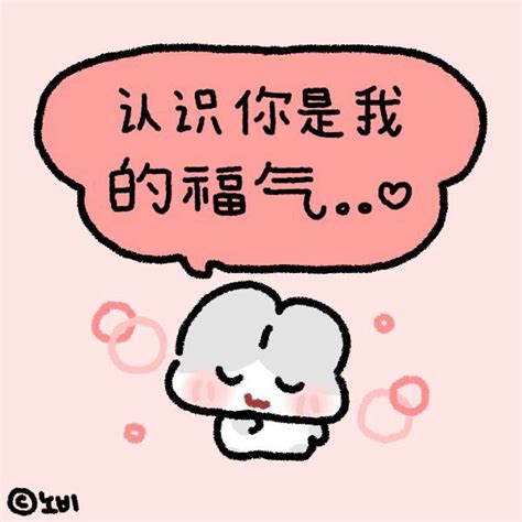 图源vb:诺比小兔Nbi图片