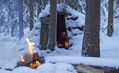 冬季寒冷森林的美丽景观高清图片下载-正版图片600651585-摄图网