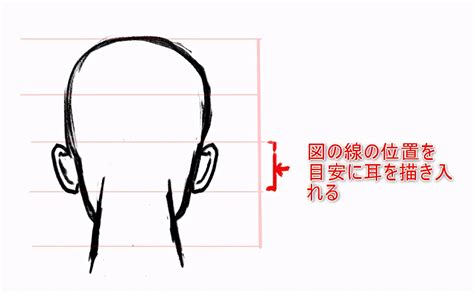 后脑勺详细部位图图片