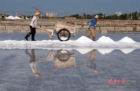 10吨海盐今晚运抵，上海长风海洋世界解除“海水危机”_浦江头条_澎湃新闻-The Paper