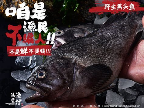 黑头鱼图片