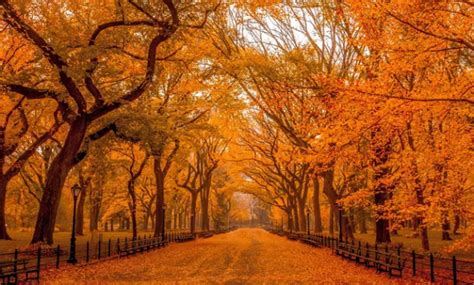 四季，最爱秋天，不问缘由。即使偶尔有那些悲伤或是忧愁的情绪出现，也是喜欢。