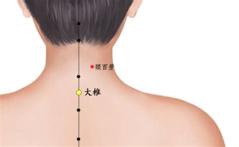 大椎准确位置图图片