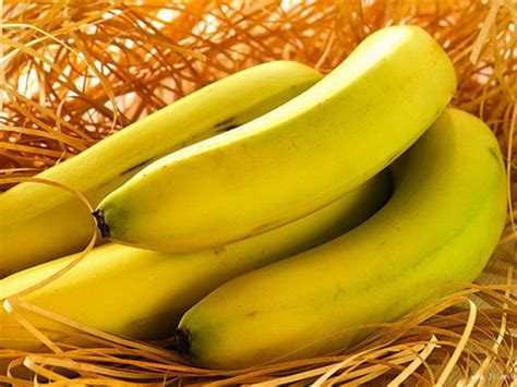 香蕉吃得多对人的身体会有什么样的好处(全文)_香蕉_99养生堂