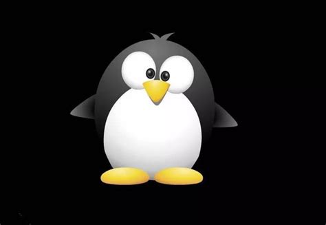 企鹅媒体平台小程序小程序二维码_企鹅媒体平台小程序小程序入口_企鹅媒体平台小程序微信小程序二维码-华军软件园