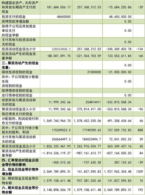 泸州老窖现金流量表分析_word文档在线阅读与下载_免费文档