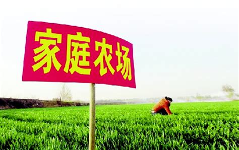 家庭农场宣传标语,家庭农场标志,企业宣传_大山谷图库