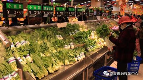 甘肃甘州：收获高原夏菜-人民图片网
