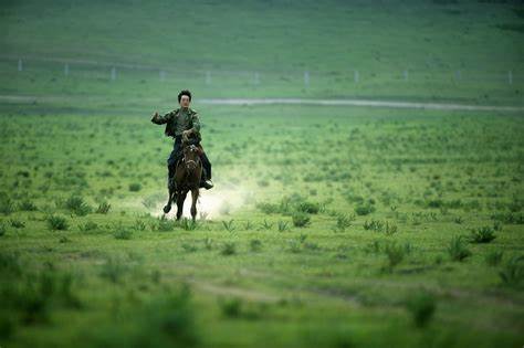 农业上用什么来改善土壤