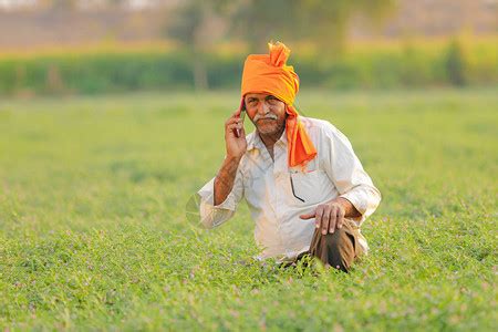 快乐的年轻印度农民在绿色的麦田