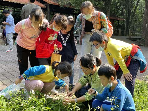把课堂搬进大自然，广东树木公园为市民打造森林文化盛会_澎湃号·媒体_澎湃新闻-The Paper