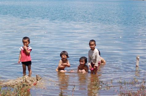 【科普】预防学龄前儿童溺水：远离溺水，请避开8大危险行为