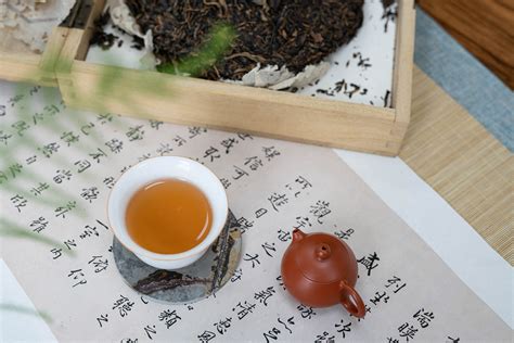 小喜年-从古代到现代，中国茶文化的发展历程 | 白茶网
