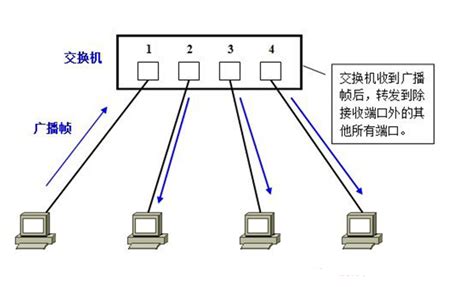 交换机基本功能 ARP VLAN技术 VLAN间路由_JadeLux的博客-CSDN博客