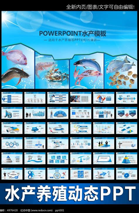 渔业水产海鲜渔业开发淡水水产养殖PPT模板_红动网