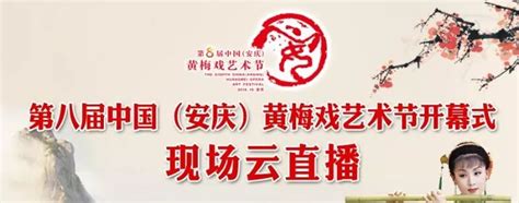 江苏戏迷风采_第九届中国（安庆）黄梅戏艺术节官方网站