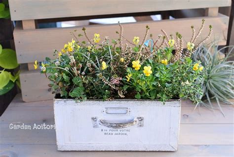 野の花みたいなBOX寄せ植え 。· その他インテリア雑貨 Garden Aoitori 通販｜Creema(クリーマ) ハンドメイド・手作り ...