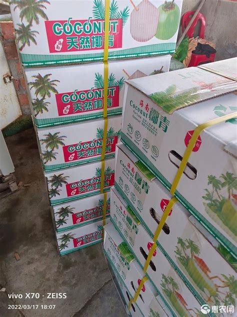 [椰子批发]新鲜青皮椰子，全天然的椰子水解喝价格4.2元/个 - 惠农网