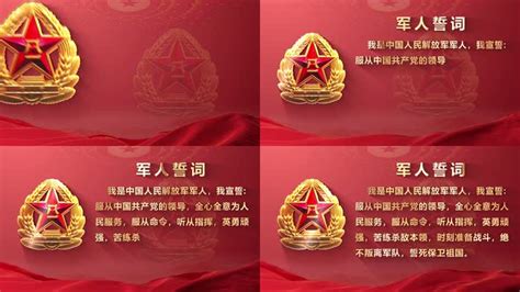 红色党政入伍誓词宣传展示模板视频素材下载_vsp格式_熊猫办公