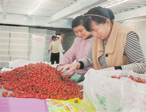 汶上次丘搬迁村庄明细,汶上县次丘镇规划,郓城县搬迁村庄图_大山谷图库