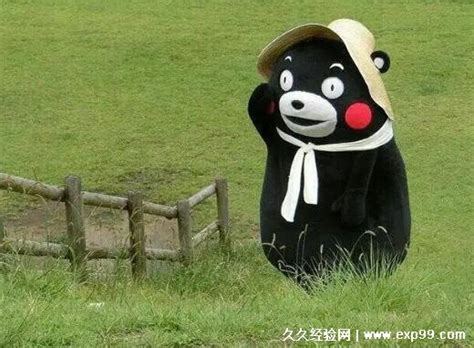 趣闻|续集？重庆还有一只熊本熊在漂流：请长江下游居民帮寻找“二熊” 趣闻