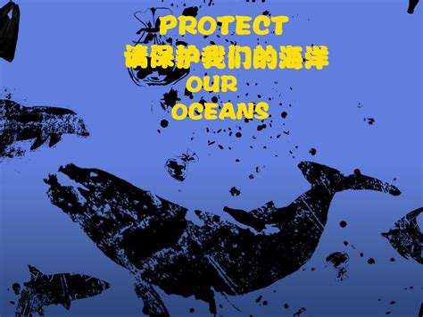 海洋保护|平面|海报|GARAN设计 - 原创作品 - 站酷 (ZCOOL)