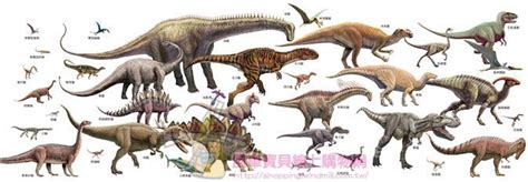 恐龙常见种类（恐龙种类大全图解）—趣味生活常识网