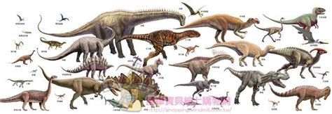 恐龙100大图鉴图片 恐龙100大图鉴图片