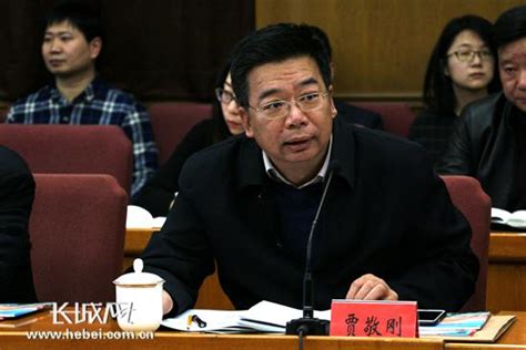河北省委宣传部副部长 省文化和旅游厅党组书记 张才