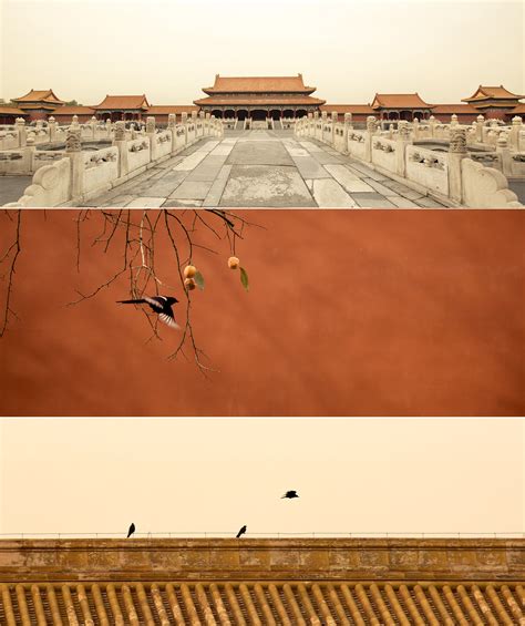 秋日故宫，一眼千年 - 堆糖，美图壁纸兴趣社区
