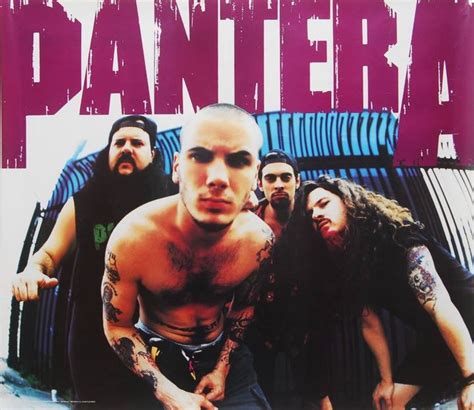Pantera 的图像结果