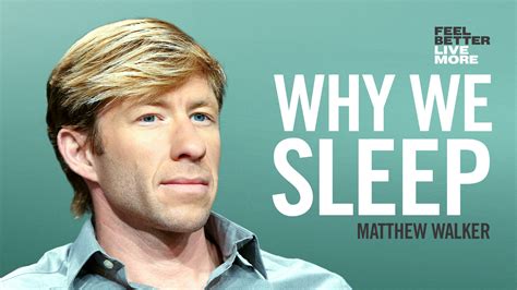 Dr. Matthew Walker, All Things Sleep — How to Improve Sleep, How Sleep ...