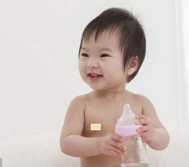 乳房的图片