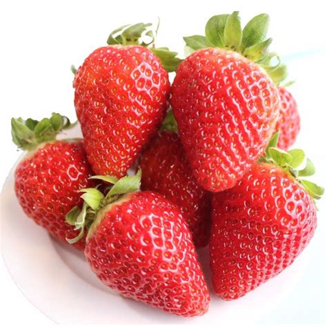 丹东99草莓新鲜应季水果奶油大果东港红颜牛奶草莓顺丰包邮大草莓-阿里巴巴