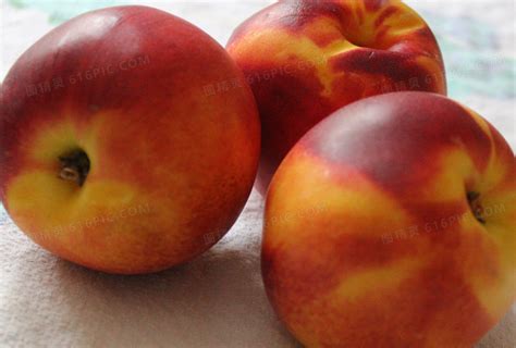 早熟油桃新品种‘中农早珍珠’