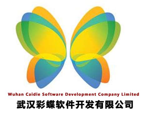 最具影响力武汉软件开发公司-武汉彩蝶软件开发公司-武汉软件开发公司