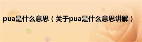 pua是什么意思（关于pua是什么意思讲解）_华夏智能网