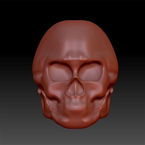 ZBrush 建立 人 头骨 模型 的过程|三维|人物/生物|张昆 - 原创作品 - 站酷 (ZCOOL)