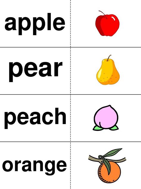 日常蔬菜水果英语单词-关于蔬菜水果的英文单词