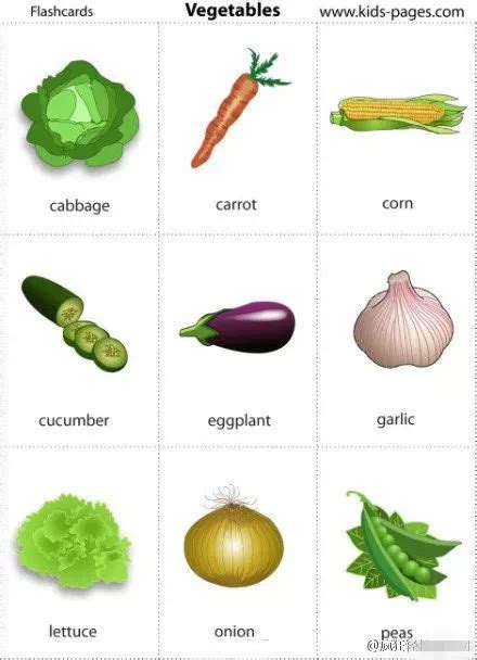 7张图教你搞定所有常见蔬菜英文名(图)_手机新浪网