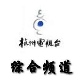 浙江卫视台标logo矢量图 - 设计之家