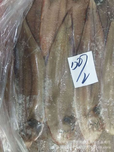 进口冰冻海鲜_一手 巴沙鱼鳍鱼翅鱼腩 进口冰冻海鲜批发 优质巴沙鱼 - 阿里巴巴