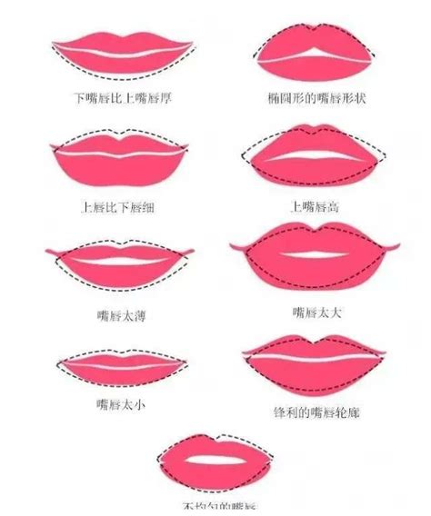 二十种嘴型图解图片