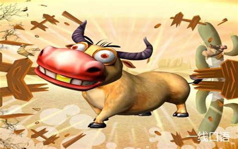 bull markets 的图像结果