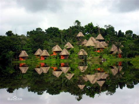 巴西热带雨林鸟瞰图照片摄影图片_ID:309199148-Veer图库