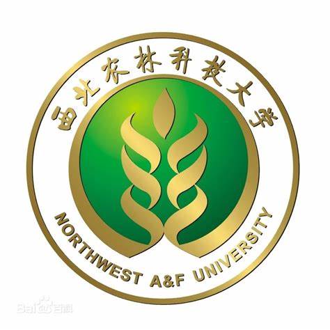 大学学自动化专业怎么样